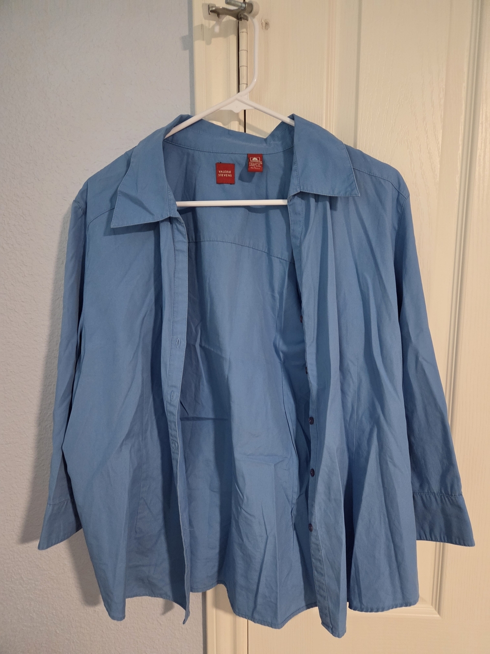 Valerie Stevens Sky Blue Cotton Button-Down Shirt